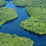 Amazonas