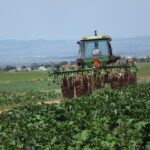 Agricultura