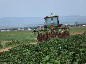 Agricultura