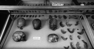 Restos arqueológicos