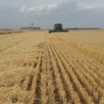 Patronales agropecuarias de Argentina convocan una huelga por la falta de gasoil y fertilizantes