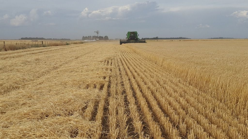 Agricultura Argentina campo
