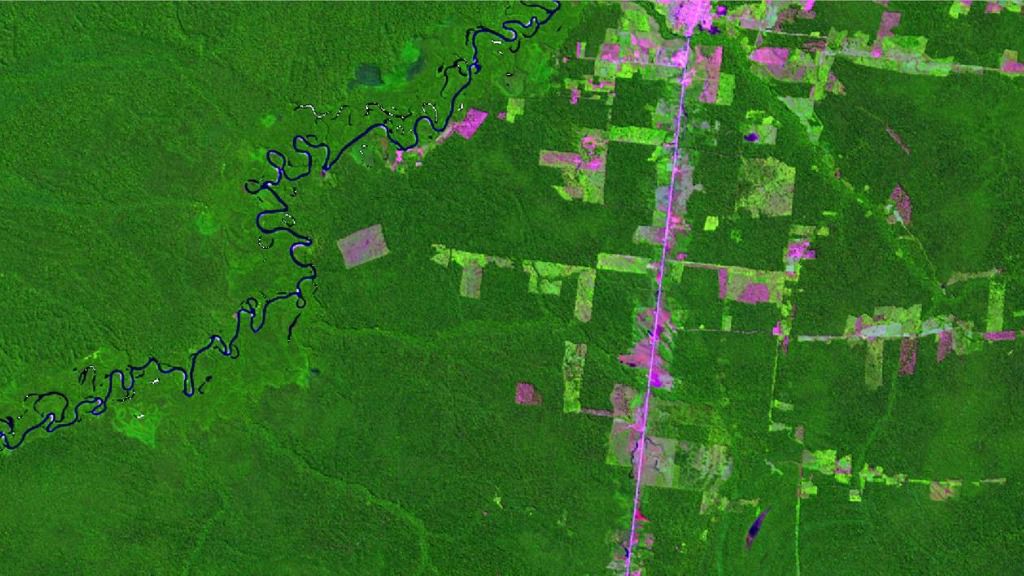 La imagen proporcionada por el Instituto Nacional de Investigaciones Especiales (INPE, por sus siglas en portugués) muestra zonas deforestadas en la región amazónica de Humaitá en julio de 2019. A partir de imágenes satelitales, el INPE anunció recienteme