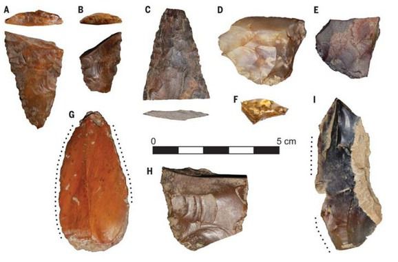 Estos son algunos de los fragmentos de piedra tallados para la caza y la pesca que se han encontrado en el yacimiento de Cooper's Ferry