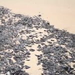 Las autoridades peruanas estudian un derrame de crudo en la Amazonía