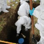Exhumaciones de la Jurisdicción Especial para la Paz (JEP) por "falsos positivos"