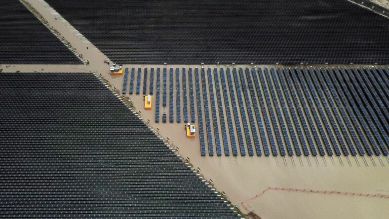 Vista de una campo de paneles solares de la empresa Fortius, el 6 de agosto de 2019 en el estado de Jalisco (México)