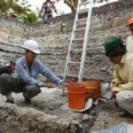 El equipo de arqueólogos trabajando en la extracción de muestras en el yacimiento maya de Aguada Fénix (México)