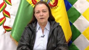 La ministra de Salud de Bolivia, Eidy Roca