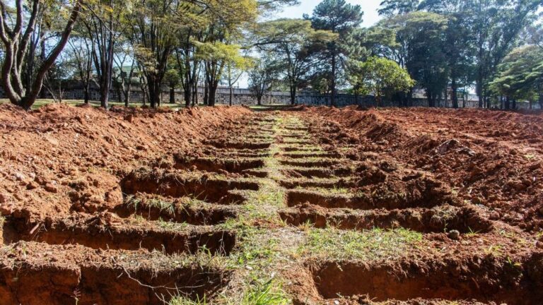 Tumbas excavadas en un cementerio para víctimas del coronavirus en Sao Paulo