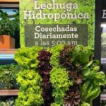 Almacenes Éxito refuerza sus acciones de higiene y abastecimiento por el coronavirus