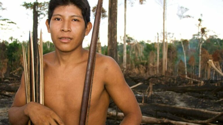Muchas tierras indígenas han sido quemadas por ganaderos y madereros durante años, pero los incendios de 2019 están siendo especialmente devastadores. En la imagen Hemokomaá, un hombre awá, muestra su selva tras ser devorada por las llamas en 2010