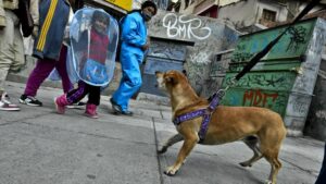 Coronavirus en La Paz, Bolivia