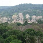 Amazonas