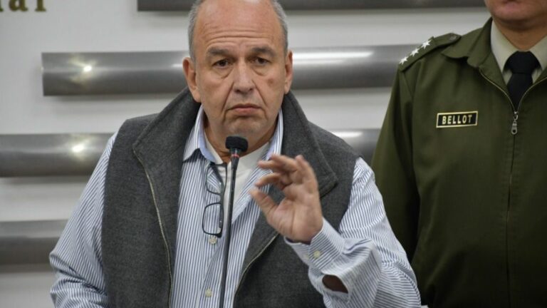 El ministro de Gobierno de Bolivia, Arturo Murillo