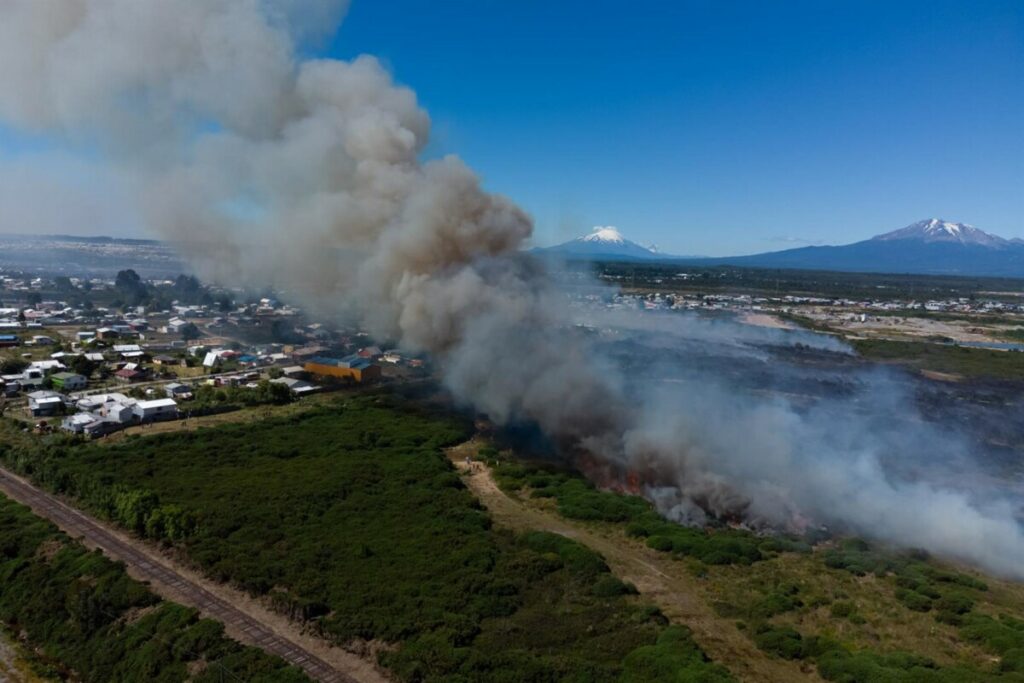 Incendio en Chile - FELIPE CONSTANZO