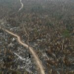 Fotografía aérea de archivo que muestra la afectación por incendios de una zona del Parque Estatal Guajará Mirim, en Nova Mamoré (Brasil). / EFE/ Isaac Fontana