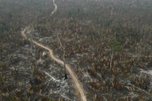 Fotografía aérea de archivo que muestra la afectación por incendios de una zona del Parque Estatal Guajará Mirim, en Nova Mamoré (Brasil). / EFE/ Isaac Fontana