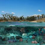 Cómo las plantas dieron el salto del agua a la tierra constituye uno de los mayores misterios de la ciencia. / Reconstrucción del artista digital Maxi Días (Museo de Ciencias Naturales de San Juan)