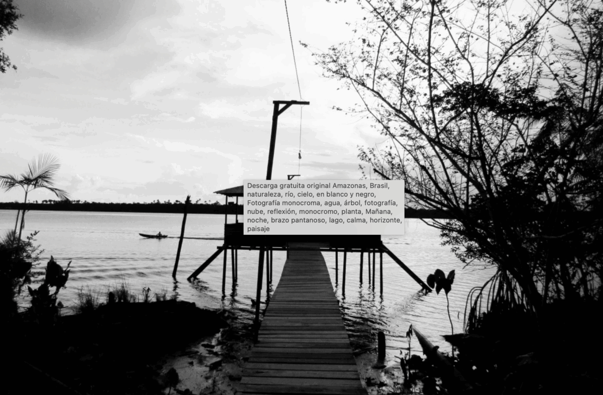 Amazonía Brasileña