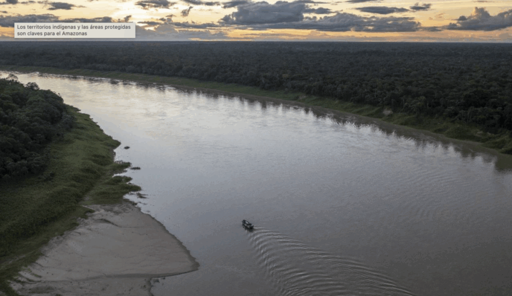 Imagen del río Juruá, en la cuenca del Amazonas (Foto: André Dib)