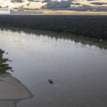 Imagen del río Juruá, en la cuenca del Amazonas (Foto: André Dib)