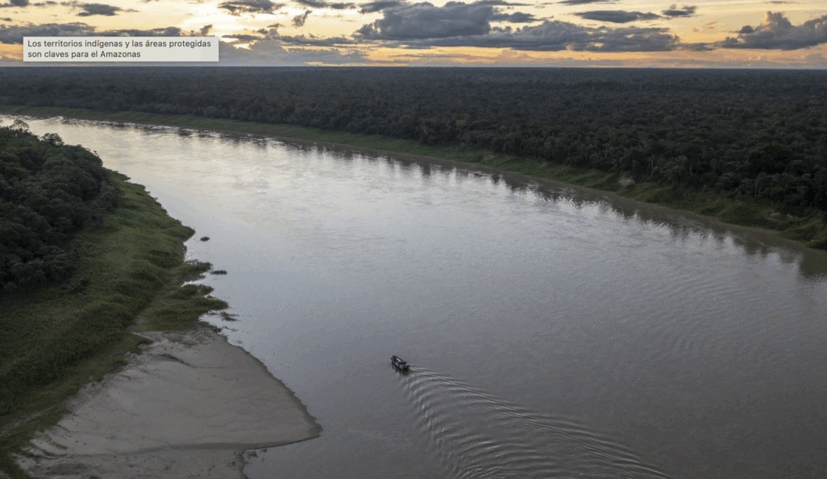 Imagen del río Juruá, en la cuenca del Amazonas (Foto: André Dib)