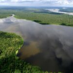 Vista aérea de la Amazonía ecuatoriana con ríos y selva.