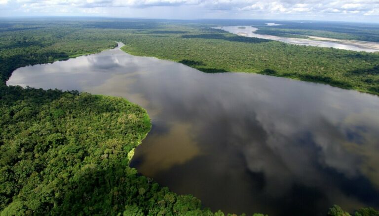 Vista aérea de la Amazonía ecuatoriana con ríos y selva.