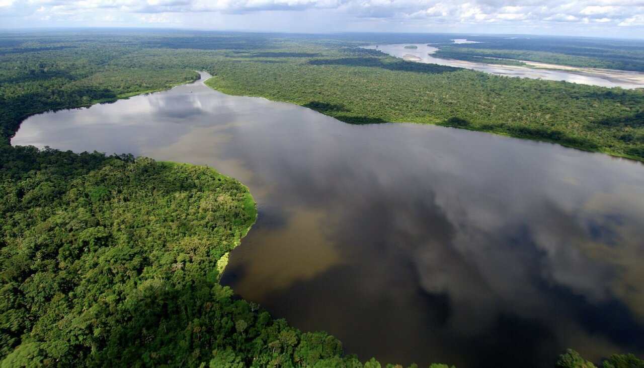 Vista aérea de la Amazonía ecuatoriana con ríos y selva.