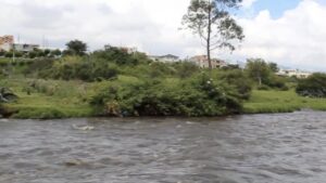 Vista del río San Pedro con vegetación y casas al fondo