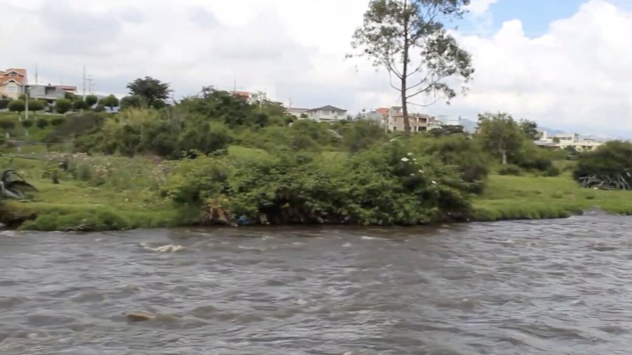Vista del río San Pedro con vegetación y casas al fondo